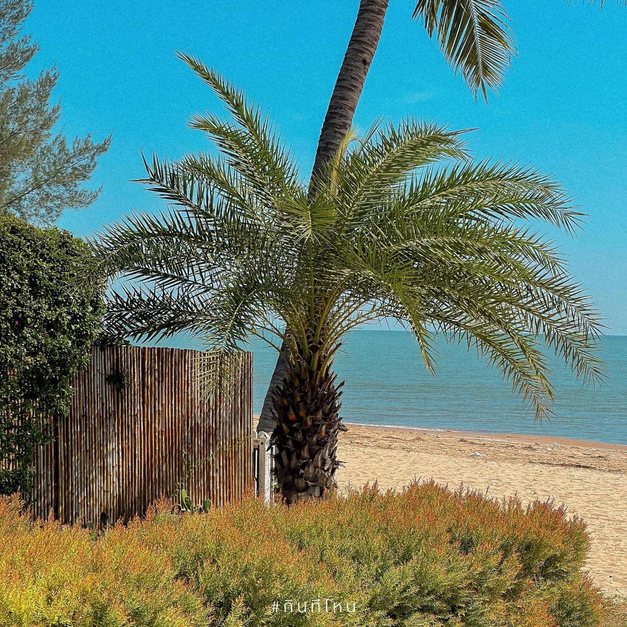 The La Palma Villa Kuiburi 班博诺克 外观 照片